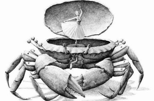 granchio con balletina .disegno poeta stravagante