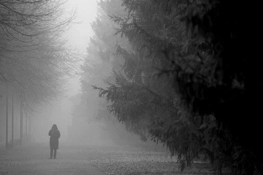 Nebbia 1 giornata di nebbia