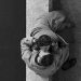 bacio amore