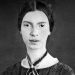 emily dickinson dragotipo