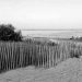 Carnac spiaggia
