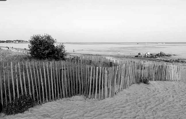 Recensione: Dunes sur le sable 1 Carnac spiaggia