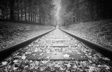 treno tra le foglie
