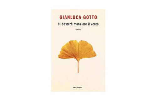 libro Gianluca Gotto