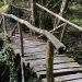 Il ponte di legno e mio padre